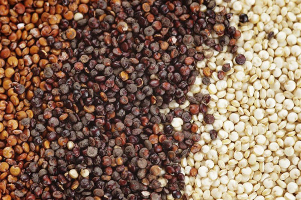 خاویار گیاهی