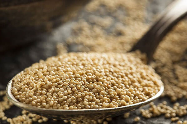 خاویار گیاهی