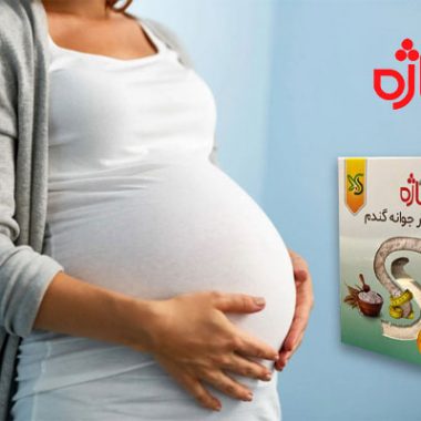 خواص پودر جوانه گندم|معجزه‌ سلامتی