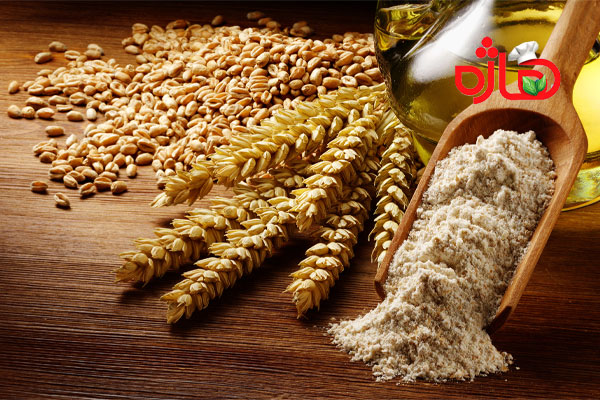 پودر جوانه گندم اصل